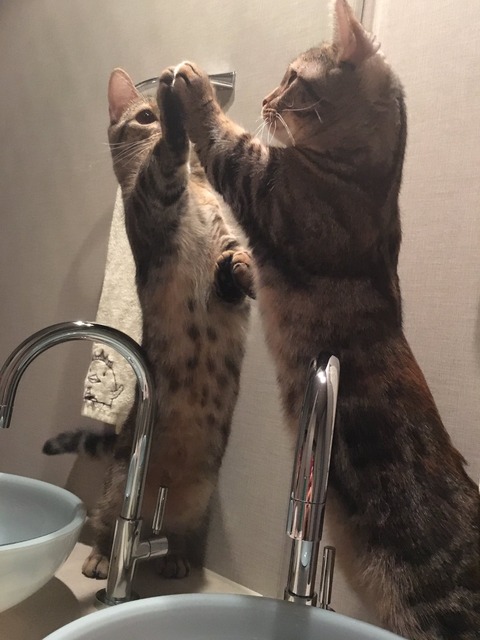 no title