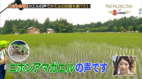 mm150704-1408420401