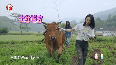 SNH48蜜食記3ep3h