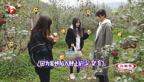 蜜食記第４季ep2s