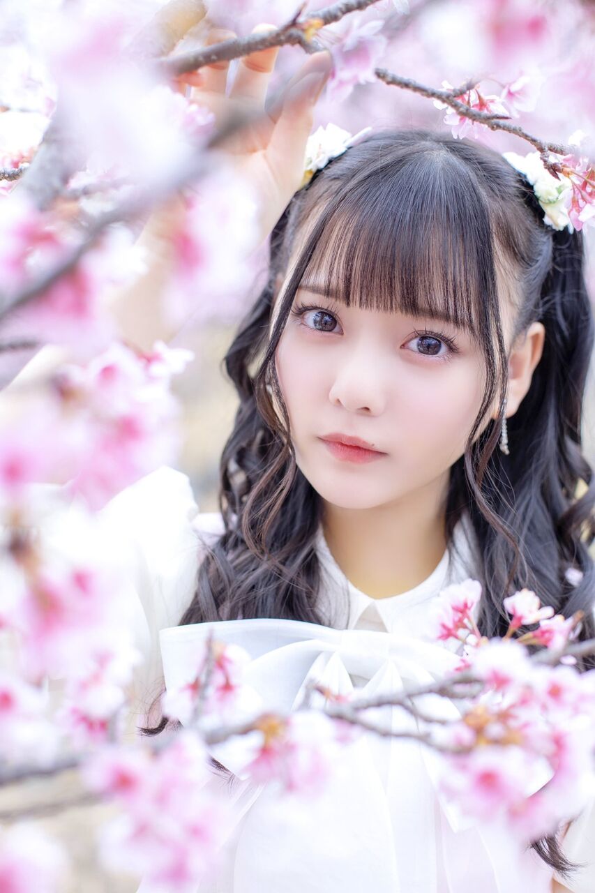 桜の咲く音がした MV 野口衣織 直筆 コメ有