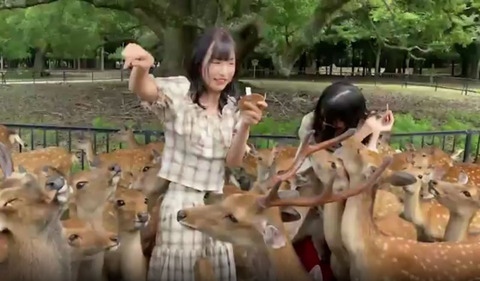 okimai