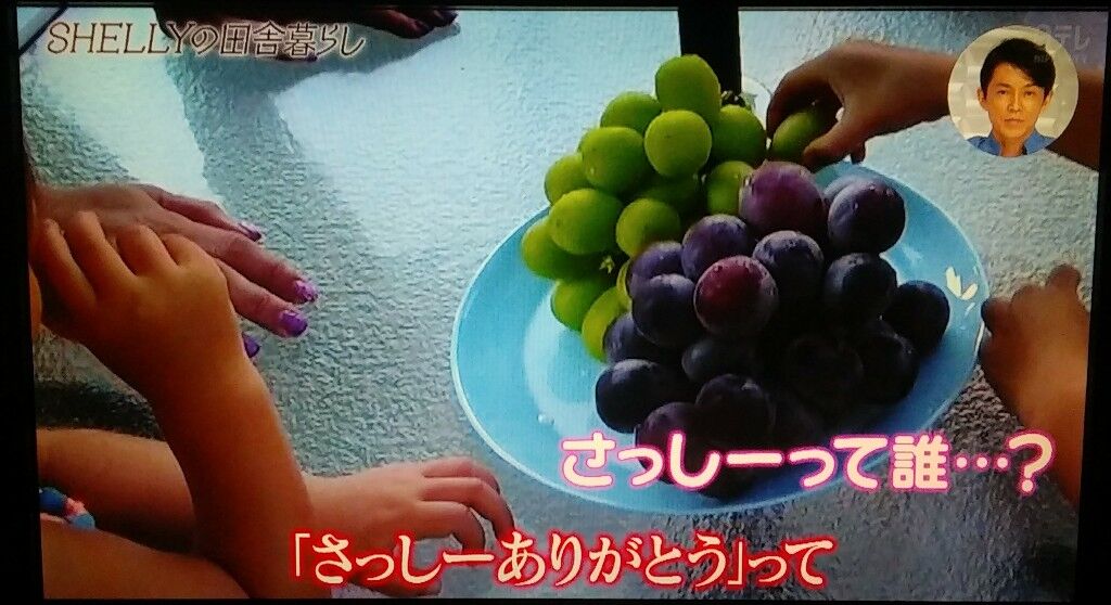 おしゃれイズム さっしー Shelly家にブドウを贈る Akbフレンド おしゃれイズム さっしー Shelly家にブドウを贈る Akbフレンド