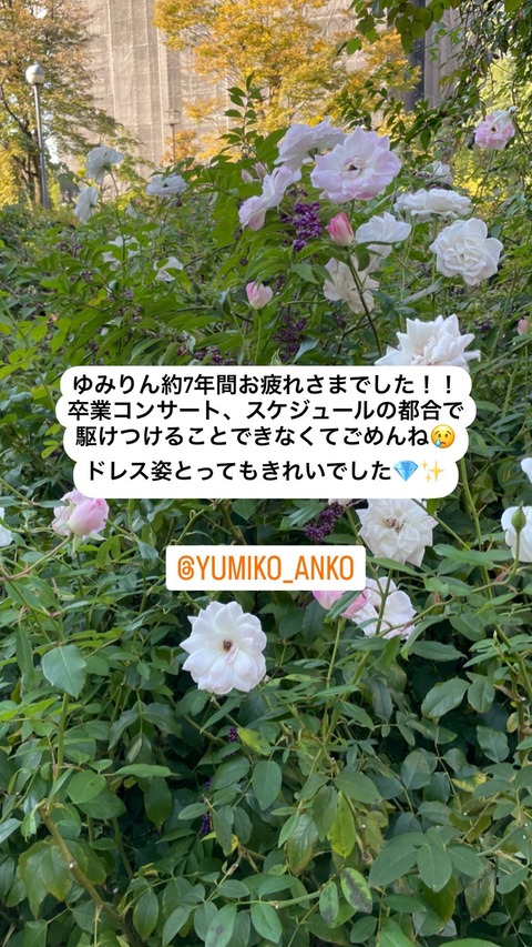 Instagram torochan__324 stories 3227949658147913607
