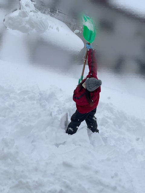【元AKB48 #坂口渚沙】なぎちゃん、豪快に雪下ろしをする❄