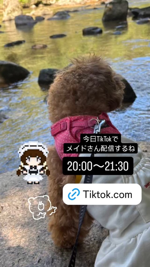 Instagram hosino.marina stories 3481373996751423976