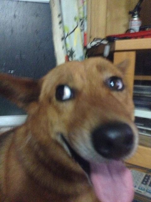「もぅマヂ無理。。。彼氏とゎかれた