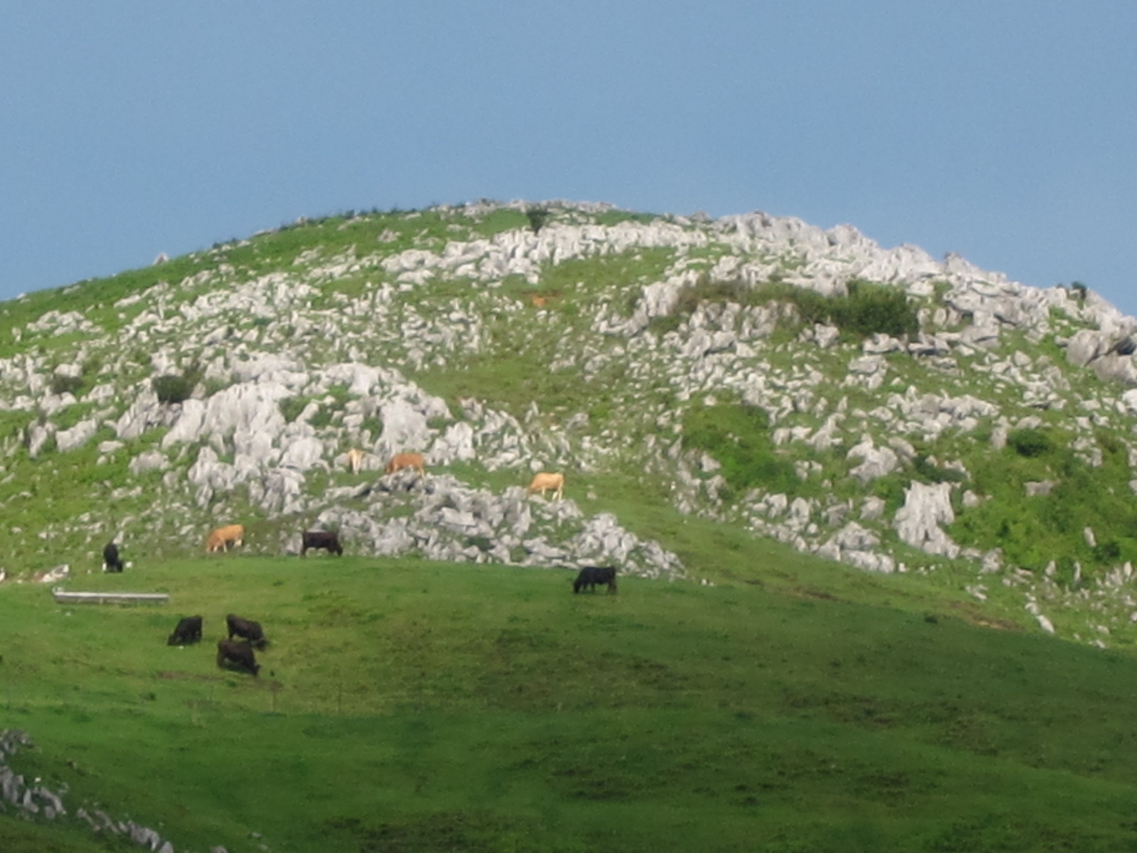 四国カルスト 絶景の風景 夜明けを待ちながら