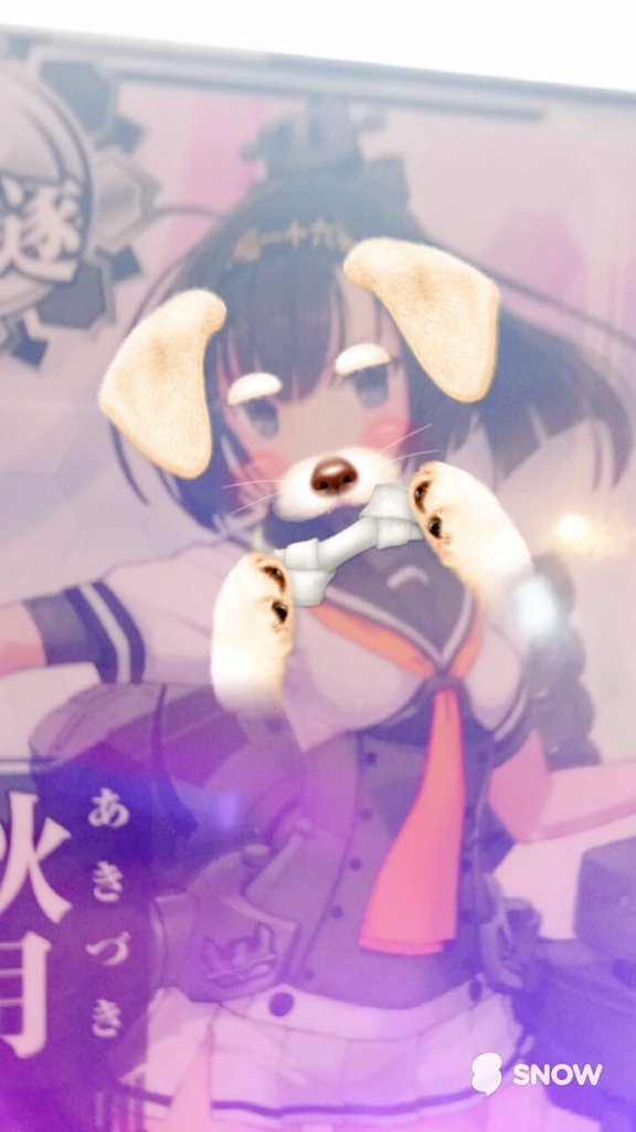 艦これアーケード 画像加工アプリで秋月に犬耳を付けてみた 中破妙高36枚のステータス 他 画像 艦これアーケードまとめ速報 艦アケ 艦これac