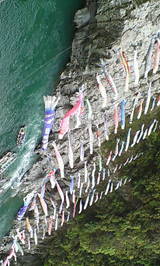 29e649c6.jpg