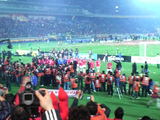 5552446e.jpg