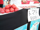 5f05bace.jpg