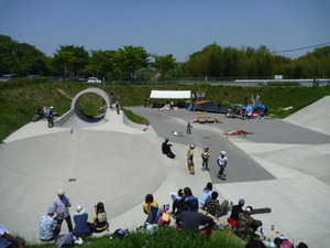 P1010590