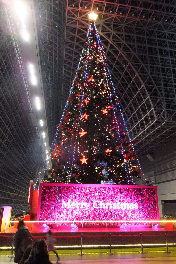 京都駅巨大クリスマスツリーその他 あけみ蝶デジカメ日記 京都駅巨大クリスマスツリーその他 あけみ蝶デジカメ日記