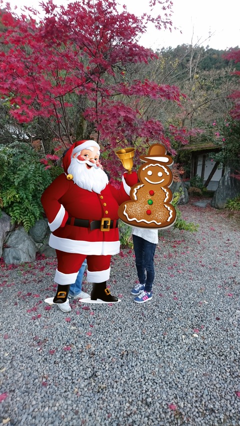 [画像:d9d26f8b-s.jpg]