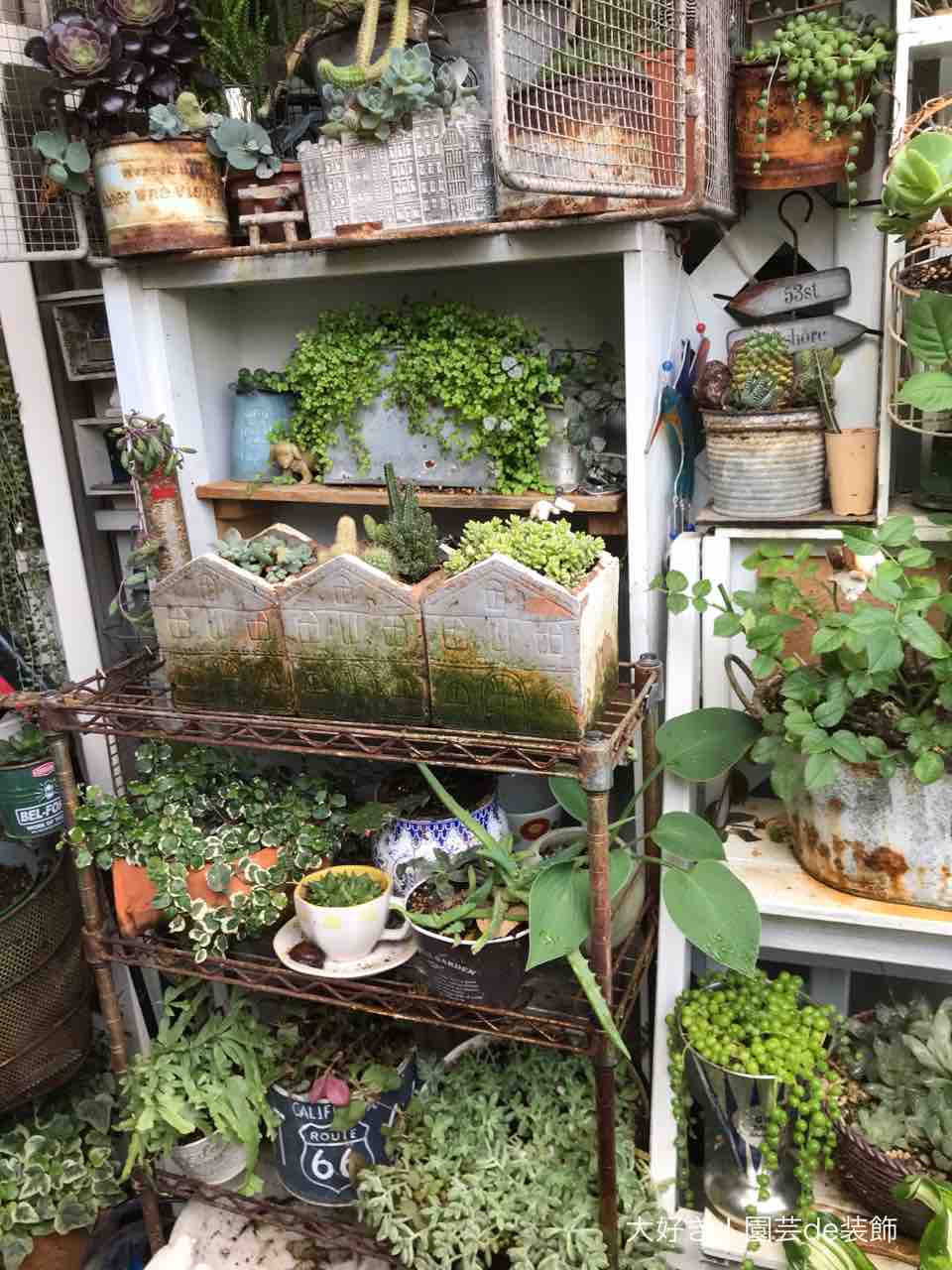 19年06月 大好き 園芸de装飾