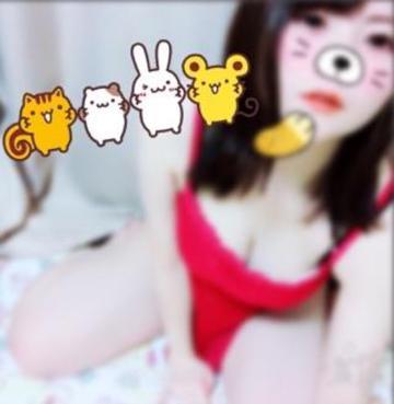 grdr0018953636_0217904359pc