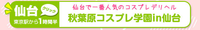 秋葉原コスプレ学園紹介_03