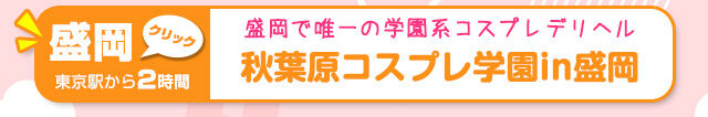 秋葉原コスプレ学園紹介_04