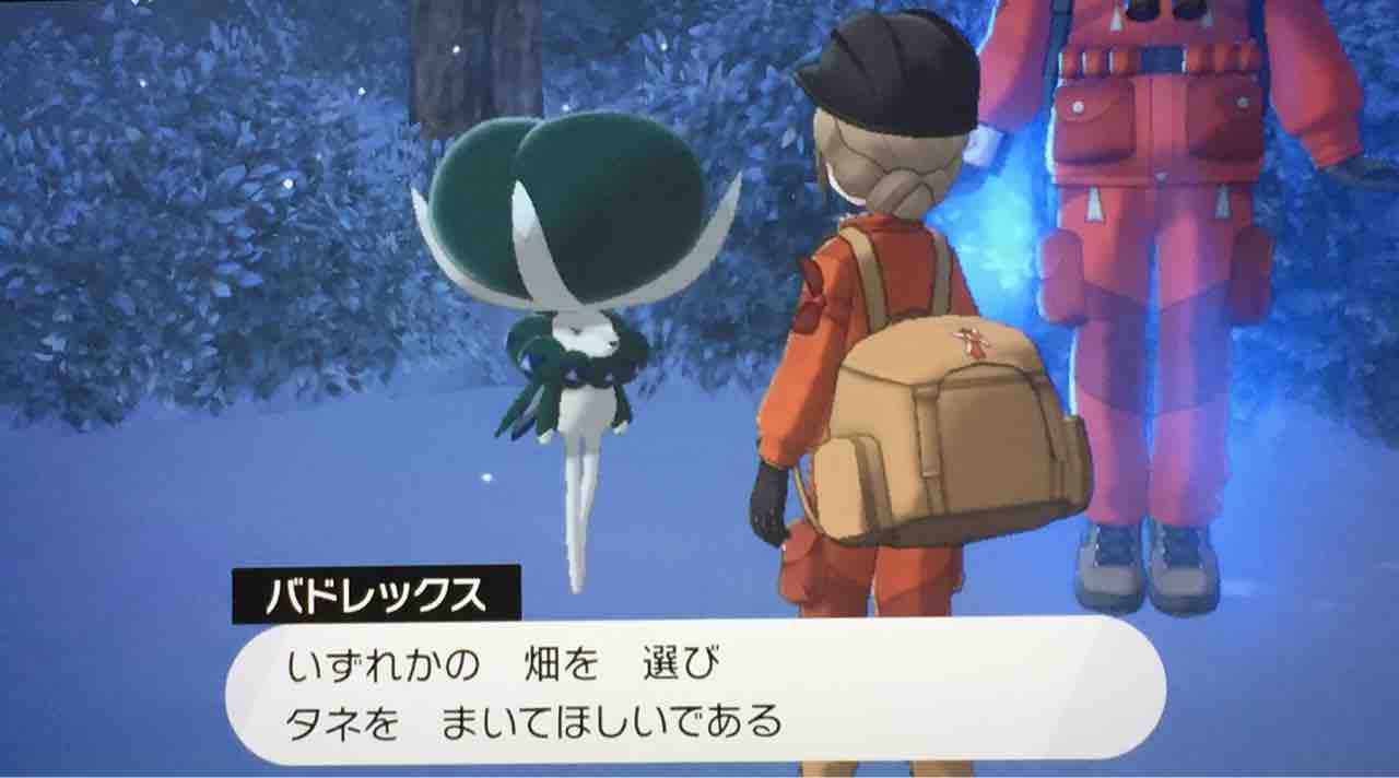 雪のにんじんと霊のにんじん 天然勇者こずのゲームと雑談 雪のにんじんと霊のにんじん 天然勇者こずのゲームと雑談