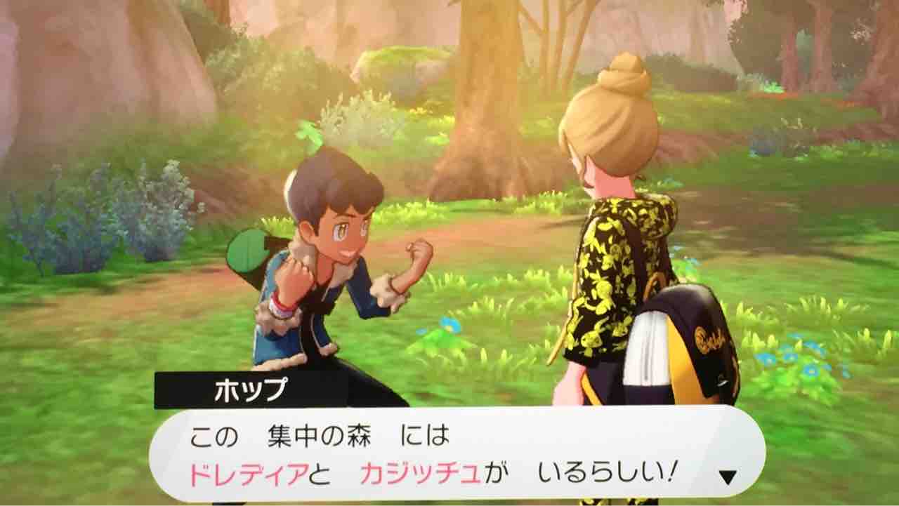 迷子のチュリネちゃん 天然勇者こずのゲームと雑談 迷子のチュリネちゃん 天然勇者こずのゲームと雑談