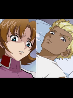 ディアッカ ミリアリア あきべや