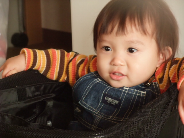 １歳４ヵ月 鼻風邪で病院へ 美命 育児ｄｉａｒｙ