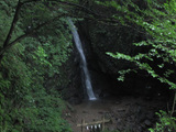 97d85d95.jpg