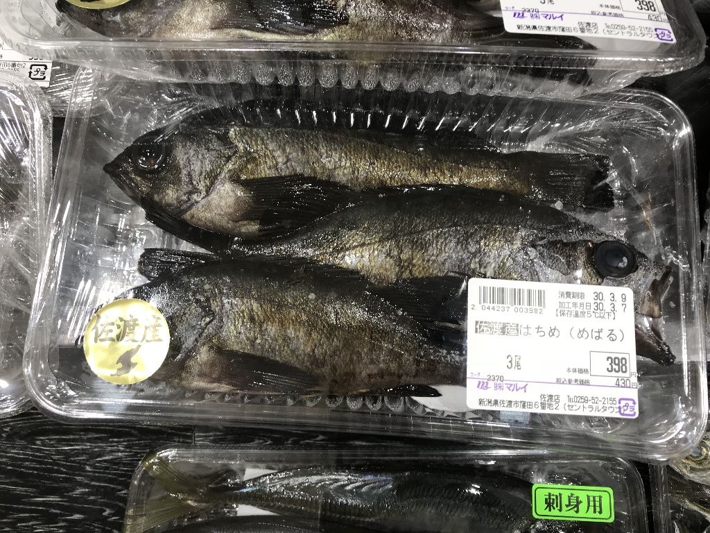 全部はちめ 佐渡見聞録 全部はちめ 佐渡見聞録