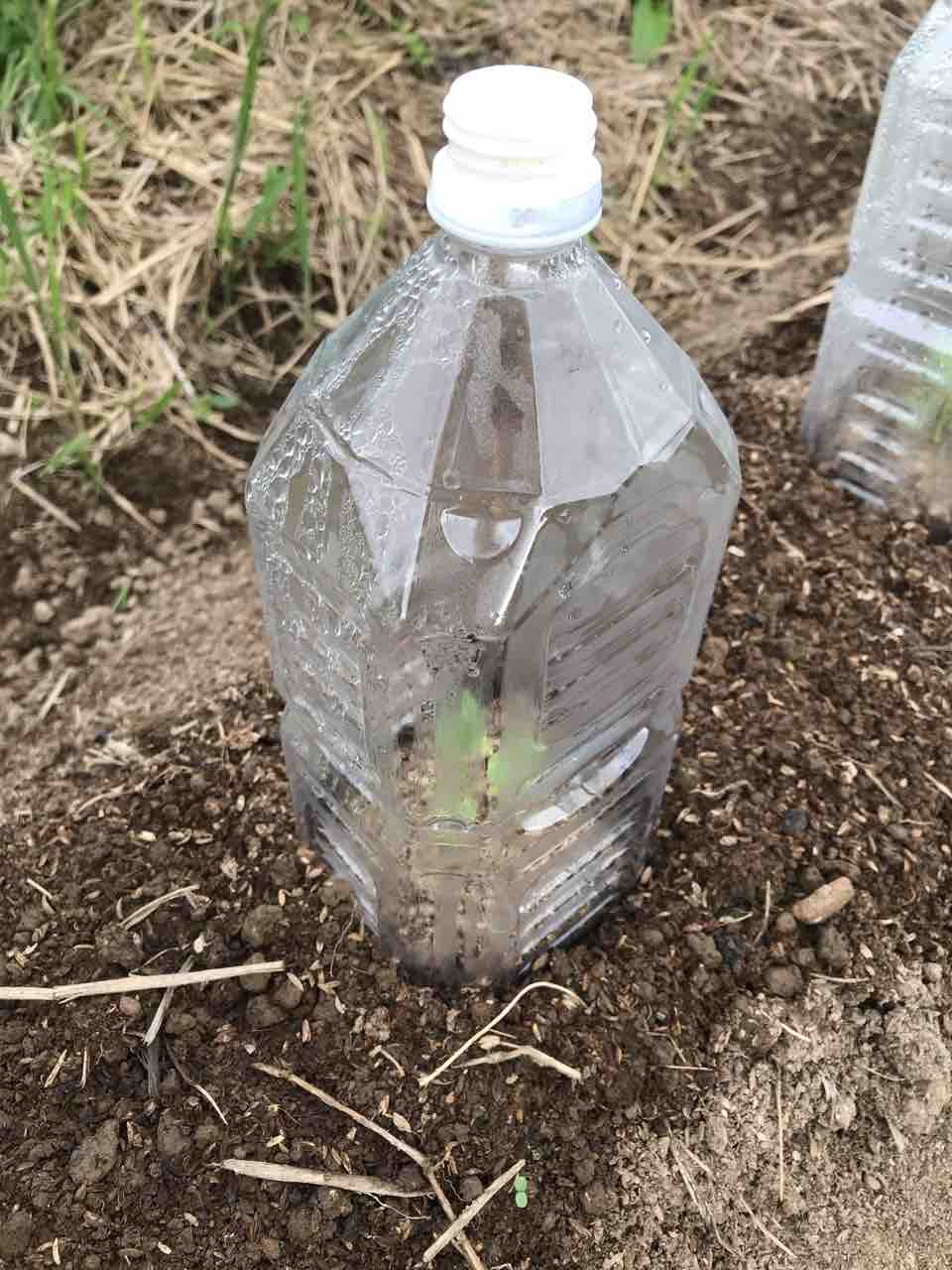 害虫対策 佐渡見聞録