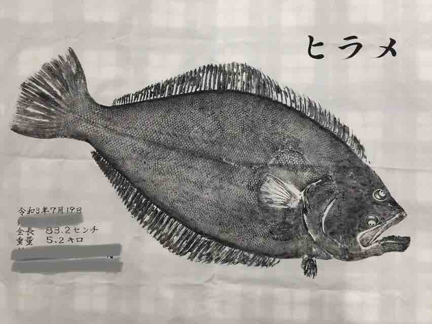ヒラメ83cmだって！ : 佐渡見聞録
