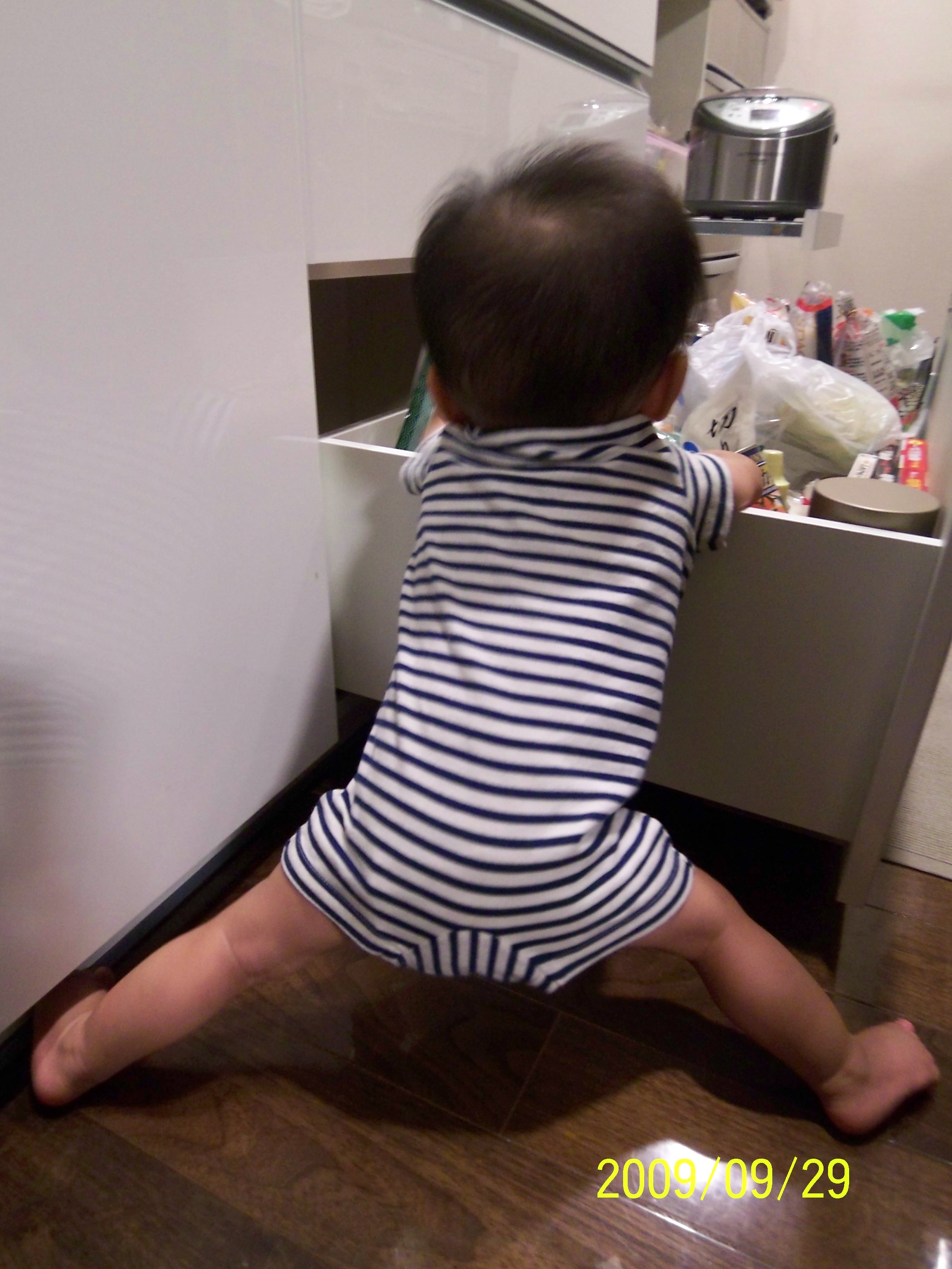 三代目は右利きでしょうか左利きでしょうか なんくるないさ やってみれ