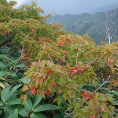 DSCF5586