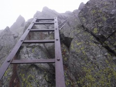 DSCF1542