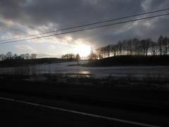DSCF6366