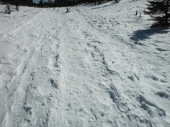 DSCF4495