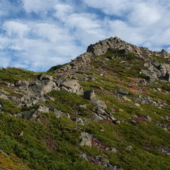 DSCF3545
