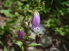 R0013268