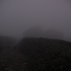 DSCF5653