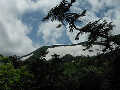 DSCF2467