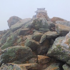 DSCF3466
