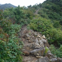 DSCF5557