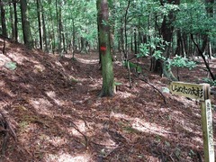 DSCF0291