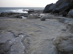 DSCF0208