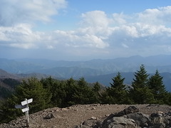 R0011291