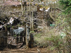 DSCF0224
