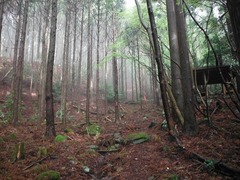 DSCF0284