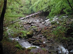 DSCF0283