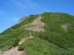 R0012818
