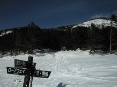 DSCF4522